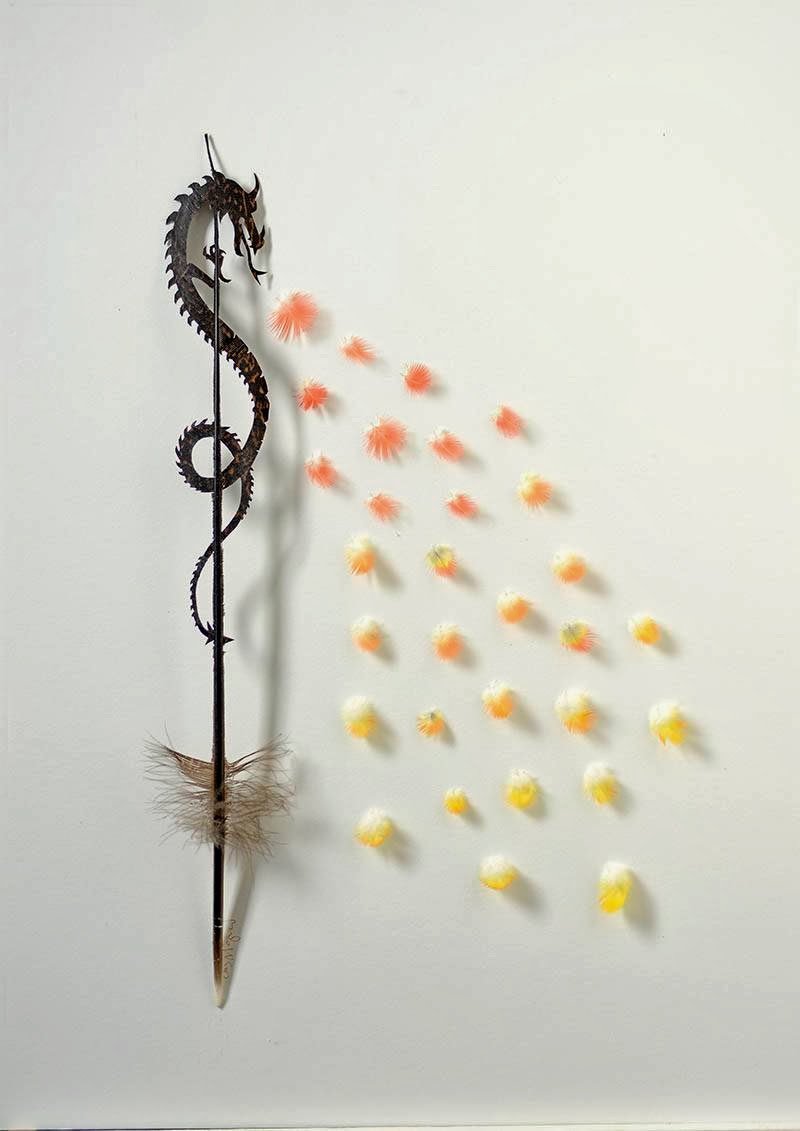 Feather Art by Chris Maynard: Hidden Beauty of Nature