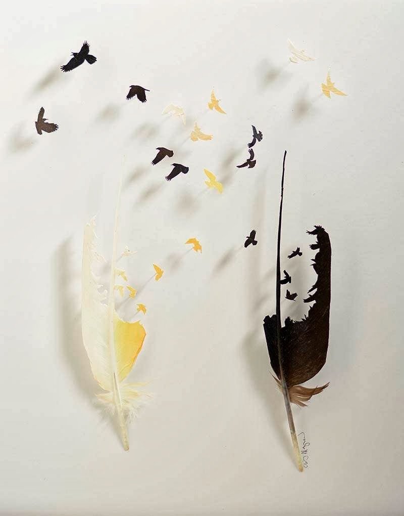 Feather Art by Chris Maynard: Hidden Beauty of Nature