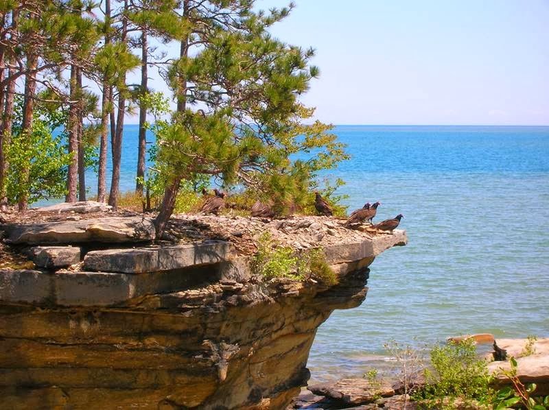 Turnip Rock: A Hidden Natural Wonder in Port Austin, Michigan